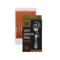 Lápices de Carbón Blanco / Pastel – Set de 12 Piezas