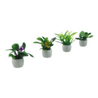 Planta con Maceta Miniatura - Bolsa de 25 und