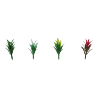 Plantitas Miniatura - Bolsa 100 und