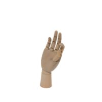 Mano Articulada de Madera - Modelo Profesional (18 cm)
