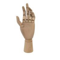Mano Articulada de Madera – Modelo Profesional (25 cm)