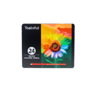 Lápices de Colores Acuarelables Estuche Metálico - Set 24 unidades